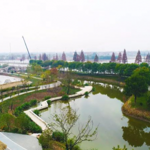 杭州后花园 三墩美丽乡村的蝶变