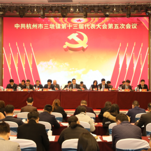 中共杭州市三墩镇第十三届代表大会第五次会议顺利召开